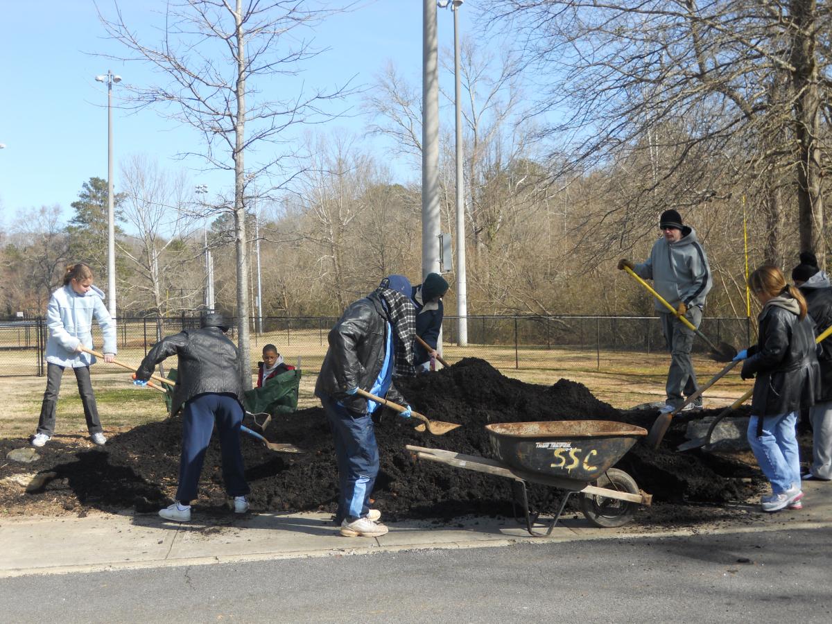 park clean up February 099