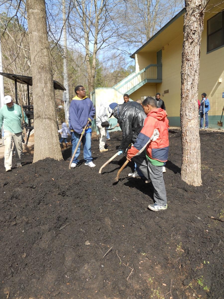 park clean up February 115