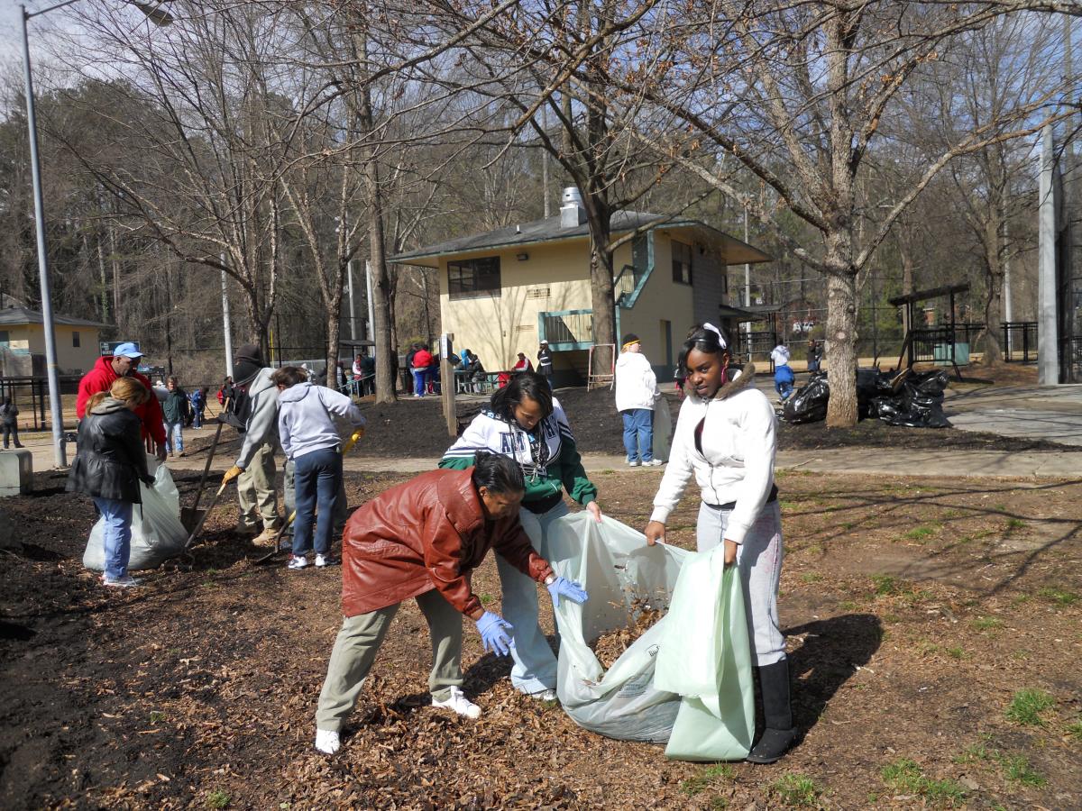 park clean up February 121