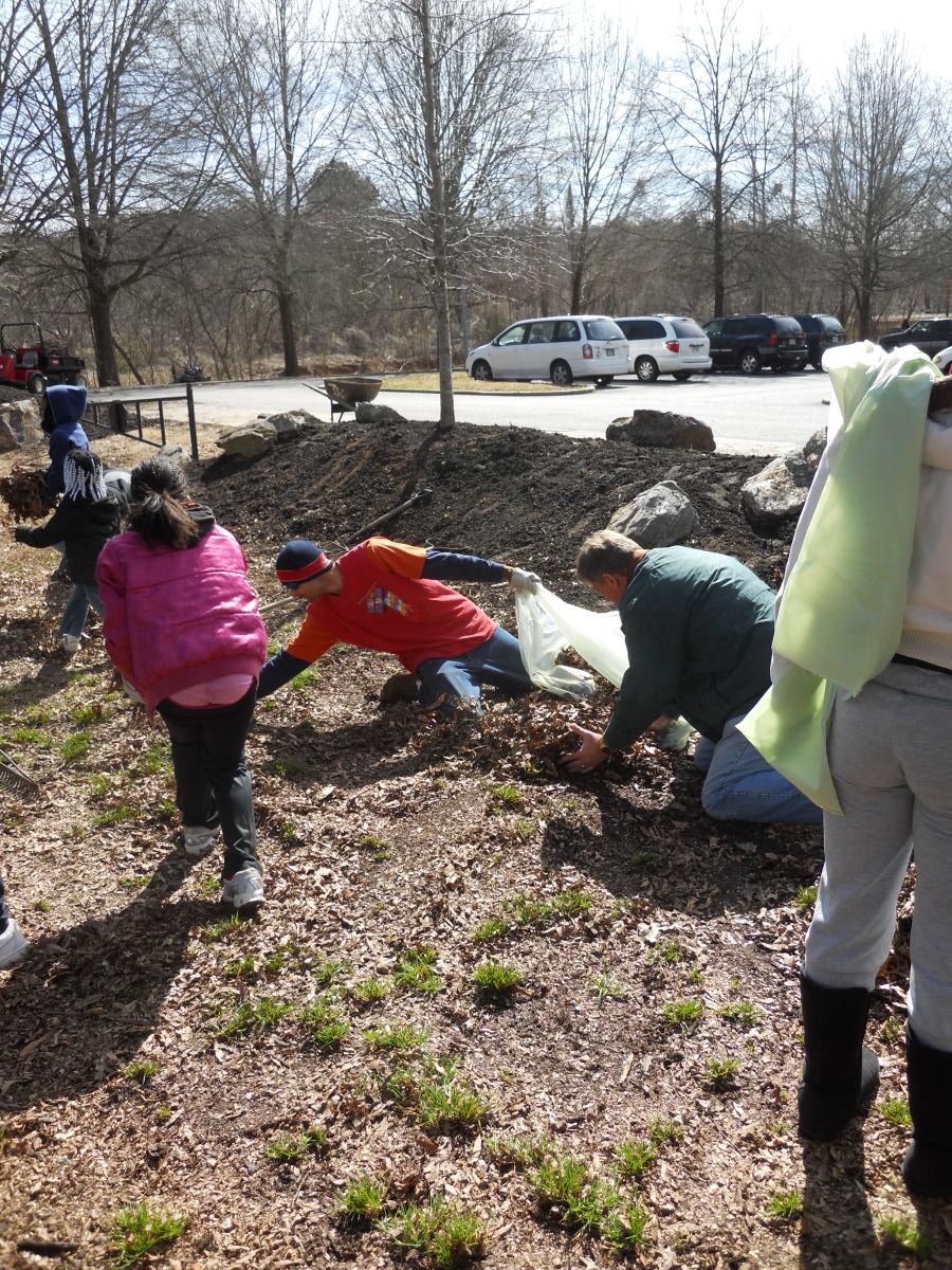 park clean up February 123