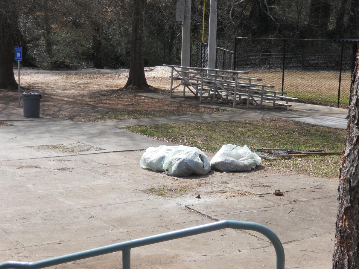 park clean up February 150