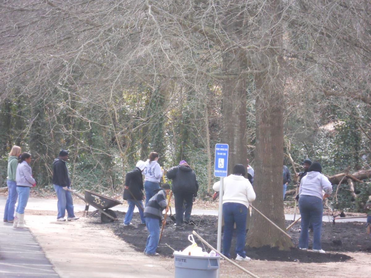 park clean up February 151